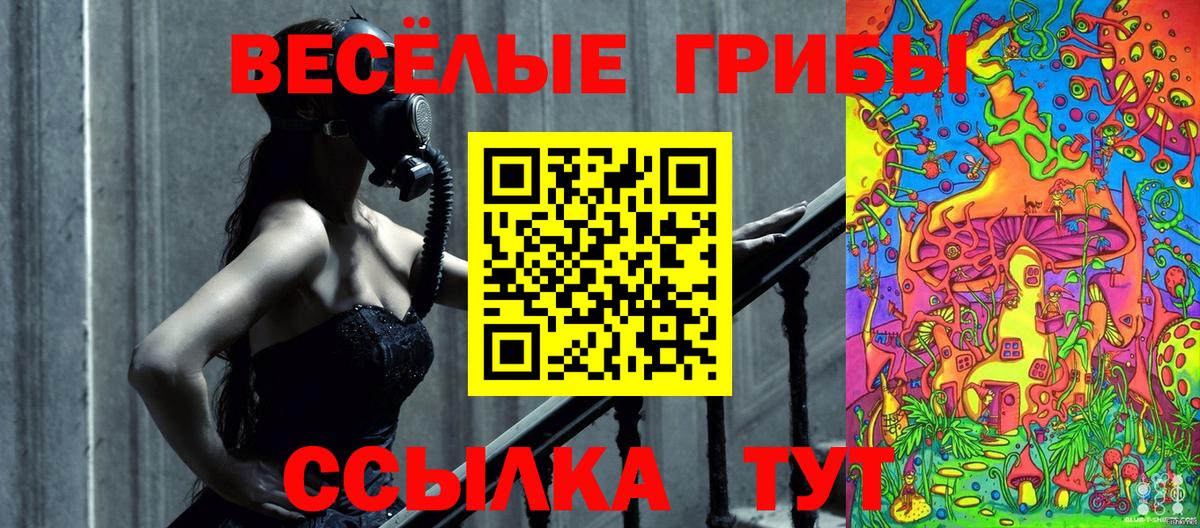 Псилоцибиновые грибы Psilocybe Тимашёвск