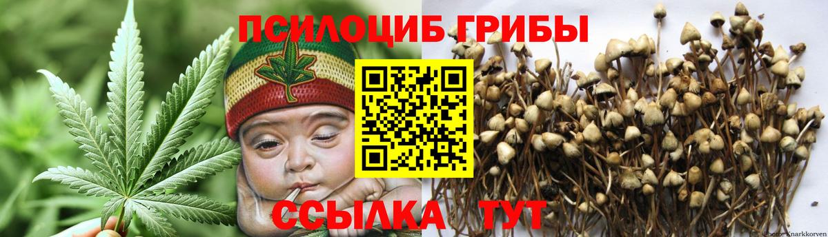 Тимашёвск  Псилоцибиновые грибы ЛСД  Псилоцибиновые грибы мицелий  Вход с VPN 